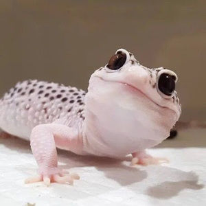 Meet your Posher, Alivia